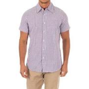 Lyhythihainen paitapusero Armand Basi  AFH0030-516  EU M