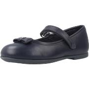 Lastenkengät Chicco  CALA  24