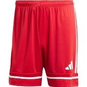 Shortsit & Bermuda-shortsit adidas  Squadra 25  EU XXL