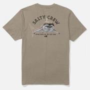 Lyhythihainen t-paita Salty Crew  Lurking ss tee  EU S
