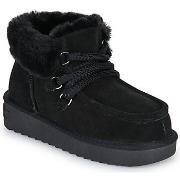 Kengät D.Franklin  375 NORDIC  38