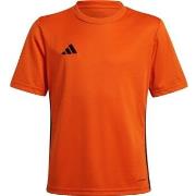 Lyhythihainen t-paita adidas  JJ1157  EU M