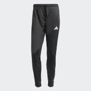 Jogging housut / Ulkoiluvaattee adidas  M 3S TR RT PT  EU S