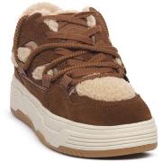 Kengät Steve Madden  CHESTNUT BOOMER  38