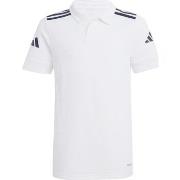 Lyhythihainen poolopaita adidas  JY3414  EU S