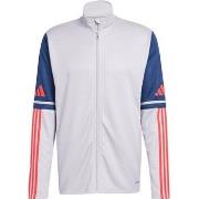 Svetari adidas  Squadra 25  EU XXL