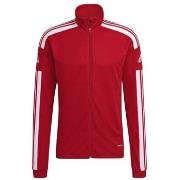 Svetari adidas  Squadra 21  EU M