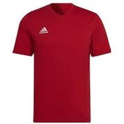 Lyhythihainen t-paita adidas  Entrada 22  EU S