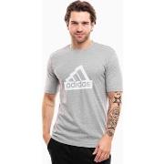 Lyhythihainen t-paita adidas  Modern Essentials Graphic  EU S