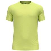 Lyhythihainen t-paita Odlo  55082248800  EU S