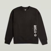 Svetari G-Star Raw  SPRAYED 89 GR LOOSE R S  EU S
