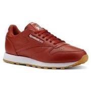 Kengät Reebok Sport  Classic Leather  44 1/2