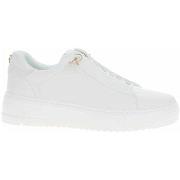 Kengät Marco Tozzi  22372444100  36