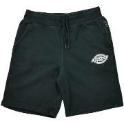 Shortsit & Bermuda-shortsit Dickies  217132  EU S