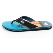 Rantasandaalit Quiksilver  Molokai  46