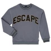 Svetari Ikks  X215043  10 vuotta