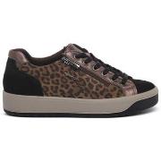 Kengät IgI&CO  8669866  39