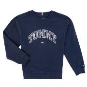 Svetari Tommy Hilfiger  VARSITY RAISED PRINT SWEATSHIRT  3 vuotta