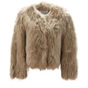 Pusakka Bully  -  IT 40