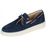 Kengät Roberto Cavalli  QRS008PZA95  43