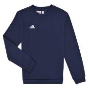 Svetari adidas  ENT22 SW TOPY  EU S