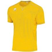 T-paidat & Poolot Errea  Everton Maglia Mc Ad  EU XXL