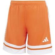 Shortsit & Bermuda-shortsit adidas  Squa25 Sho W  EU S