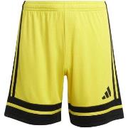 Shortsit & Bermuda-shortsit adidas  Squa25 Sho Y  11 / 12 vuotta