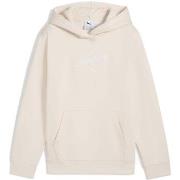 Svetari Puma  Ess Script Hoodie Fl G  13 / 14 vuotta
