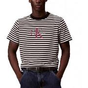 Lyhythihainen t-paita Calvin Klein Jeans  SS 20S STRIPE JERSEY MON  EU...