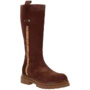 Saappaat Alviero Martini  23740009  36