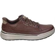 Kengät Skechers  211234-CHOC  41