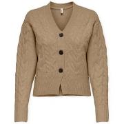 Neuleet / Villatakit Only  Rio Life Cardigan - Tannin  EU S
