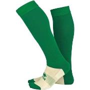 Urheilusukat Errea  Calza C/P Transpir Pa Junior  Yksi Koko