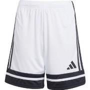 Shortsit & Bermuda-shortsit adidas  Squadra 25  EU S