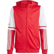 Svetari adidas  Squadra 25  EU S