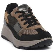 Kengät IgI&CO  KELLY NERO  37