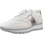 Kengät Cetti  C849SRA V25  36