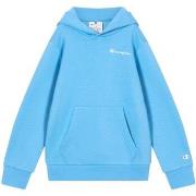 Svetari Champion  Hooded Sweatshirt  EU L