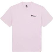 Lyhythihainen t-paita Dickies  Statesville Tee Ss  EU S