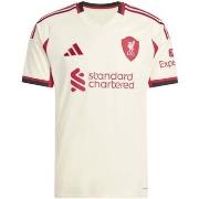 Lyhythihainen t-paita adidas  Lfc A Jsy  EU S