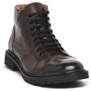 Kengät Exton  VITELLO CASTAGNO  42