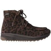 Kengät Gaimo  -  36