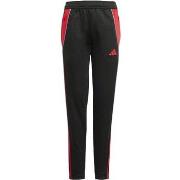 Housut adidas  JP2490  EU M