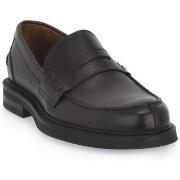 Kengät Frau  PONCHO MORO  42