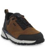 Tennarit Geox  STERRATO  44