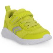 Tennarit Geox  3008 SPRINTYE  21