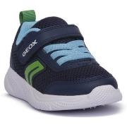 Tennarit Geox  CF43U SPRIBTYE  24