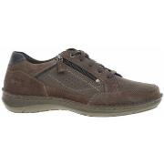 Kengät Josef Seibel  44911TE387741  42