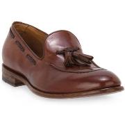 Kengät Calpierre  ANILCOL RADICA  43